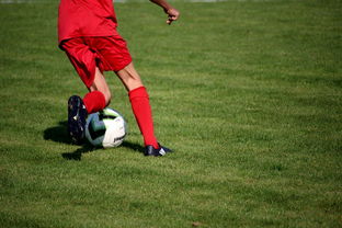 AC ESPORTS-篮球运动员专项体能训练技术与监控体系,篮球体能系统训练计划 第2张 AC ESPORTS-篮球运动员专项体能训练技术与监控体系,篮球体能系统训练计划 第2张