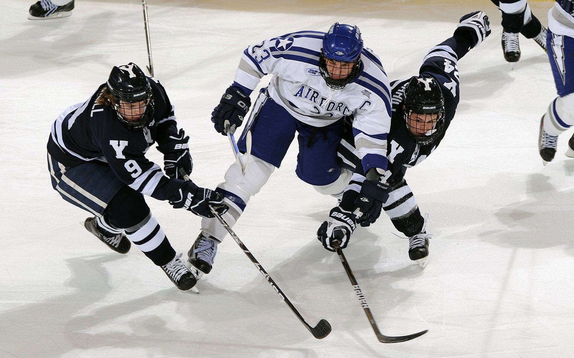 AC ESPORTS-篮球运动员专项体能训练技术与监控体系,篮球体能系统训练计划 第5张 AC ESPORTS-篮球运动员专项体能训练技术与监控体系,篮球体能系统训练计划 第5张