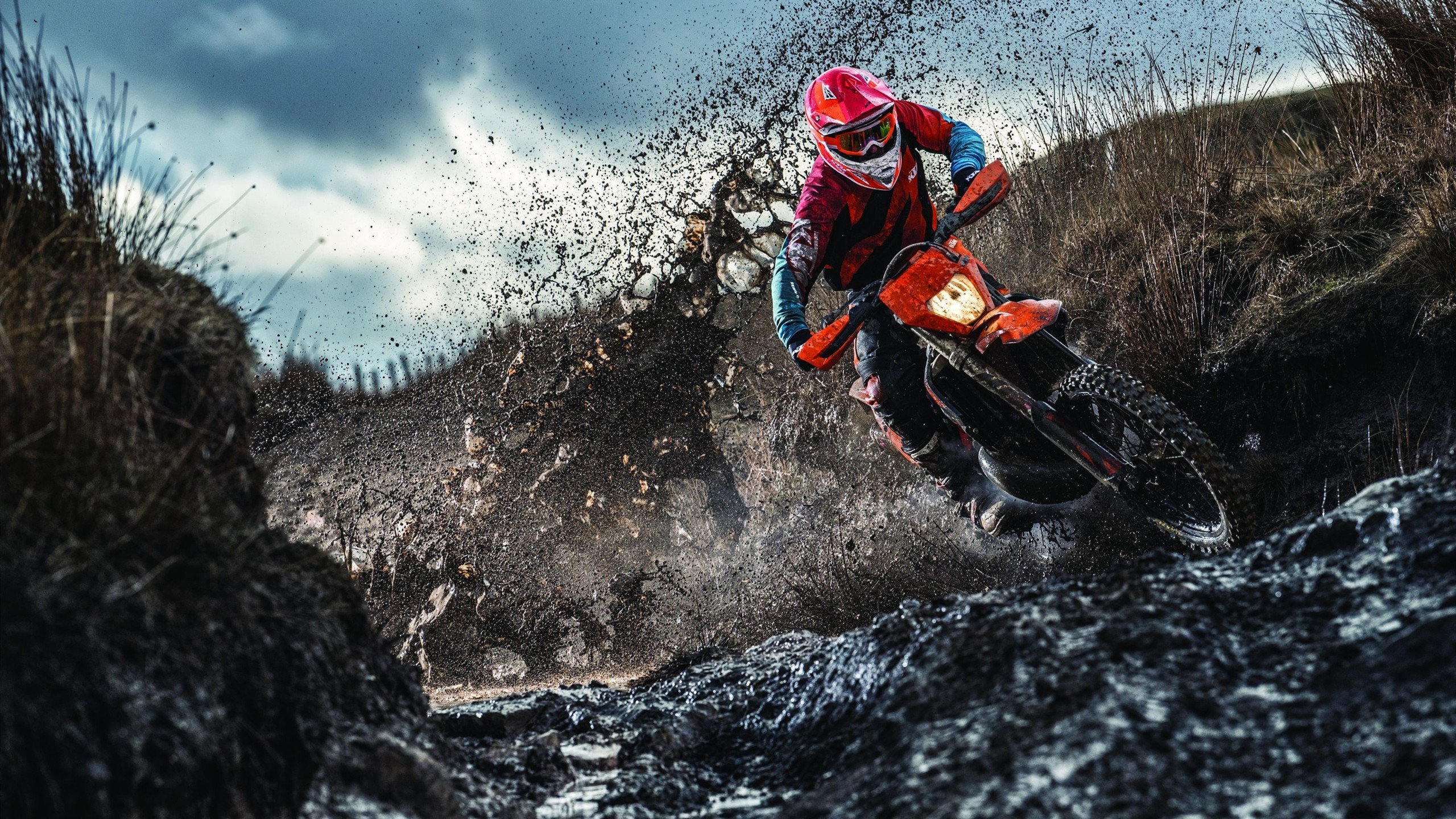 世界杯:志愿者“告别日记”刷屏 温暖故事感动世界球迷